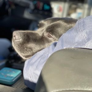 Meet your Posher, Danielle